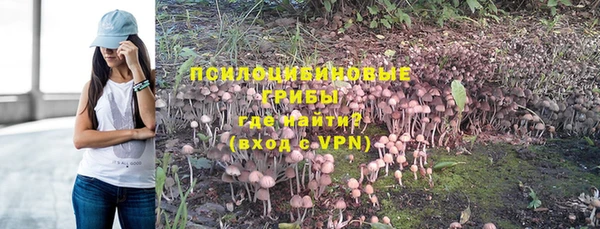 PSILOCYBIN Верхнеуральск